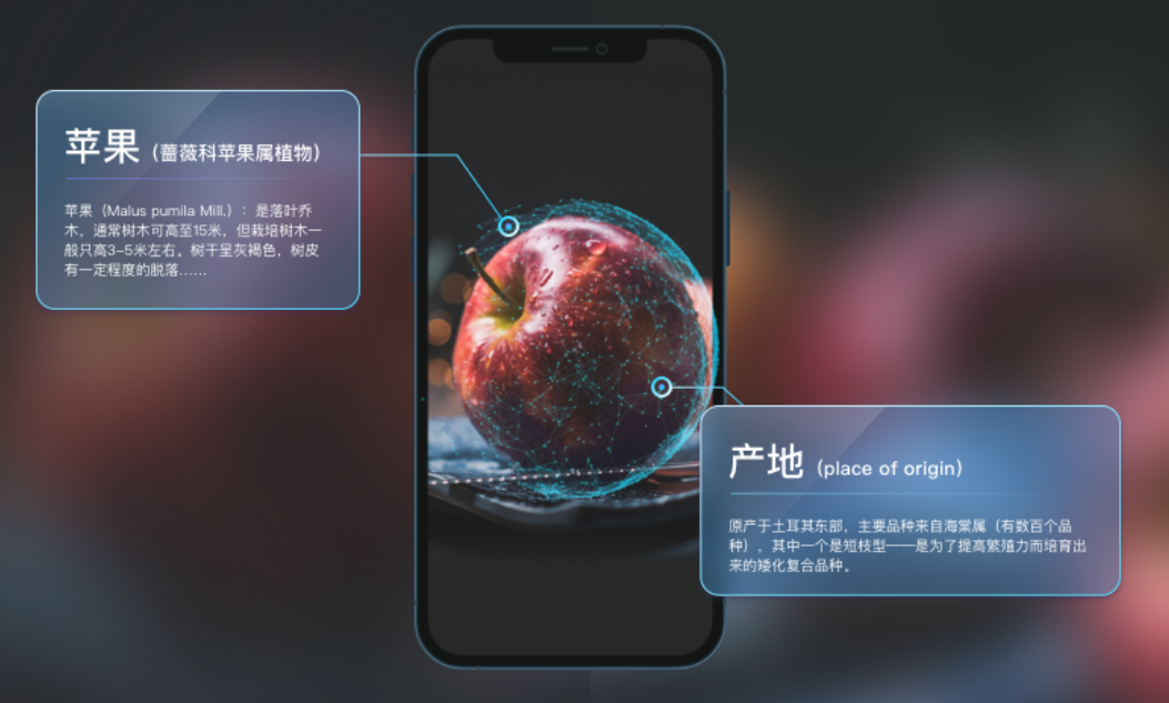 物体识别